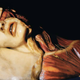 Illustration for article titled Creepy wax anatomy models from the 1700-1800s. Apologies if you planned on sleeping tonight.